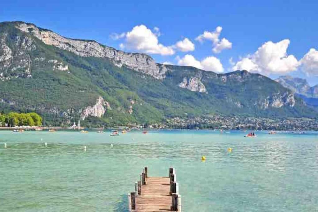 La Perle Du Thiou - Charmant T3 Au Centre D'Annecy Avec Parking Prive エクステリア 写真